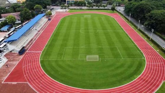 Bon prix Pistes de course en caoutchouc à faible entretien pour les centres de fitness en ligne