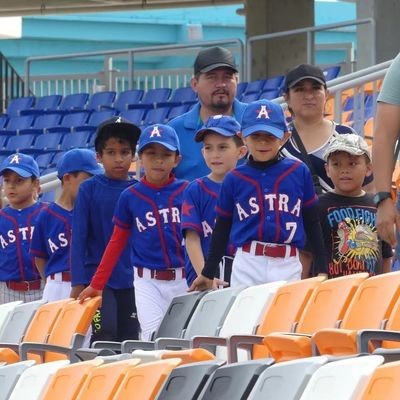Bon prix Siège de stade en plastique HDPE avec caractéristiques anti-vieillissement, anti-UV et ignifuges pour les stades et les arènes en ligne