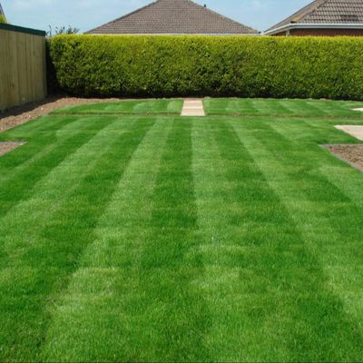 Bon prix herbe artificielle de synthétique de 35mm, anti herbe UV de gazon de jardin la cour en ligne