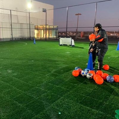 Bon prix Anti herbe artificielle anti-vieillissement UV 45mm, × synthétique 50cm de l'herbe 50cm de sports en ligne