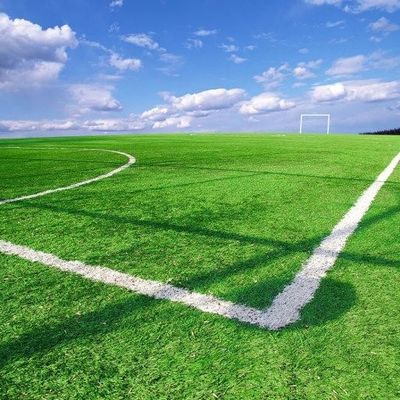 UV d'herbe artificielle synthétique de terrain de football anti pour aménager l'ODM en parc d'OEM de décoration