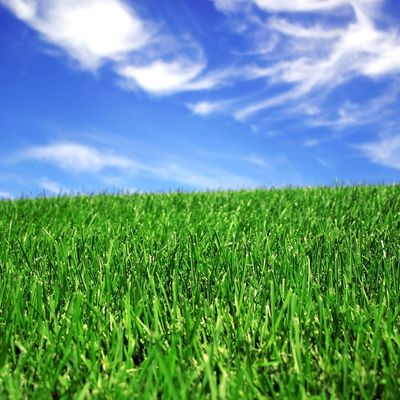 Bon prix herbe artificielle synthétique de aménagement de 50mm pour la cour du football en ligne