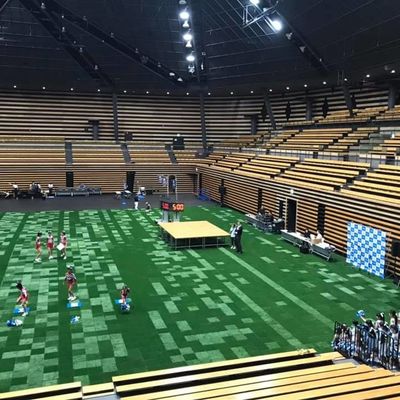 Bon prix herbe artificielle de synthétique de taille de 45mm pour le certificat de GV de cour de sport du football du football en ligne