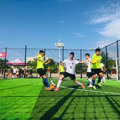Bon prix synthétique de 50mm enclenchant l'herbe artificielle pour la cour du football en ligne