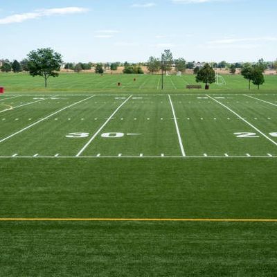 Bon prix × 4m de 25m par herbe artificielle du football de petit pain, herbe synthétique de terrain de football vert-foncé en ligne