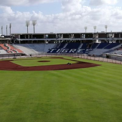 Astuce d'installation de plancher vers le haut du stade en plastique posant l'anti preuve de feu UV anti-vieillissement