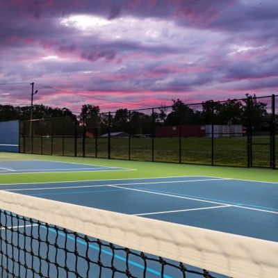 Cour Mat Portable d'Ondoor Pickleball petit pain Mat Free Line Painting Service de 60 x de 30ft