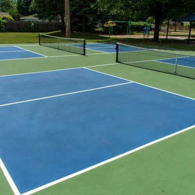 Cour extérieure Mat Portable de Pickleball Pickelball petit pain Mat Free Line Painting Service de 60 x de 30ft