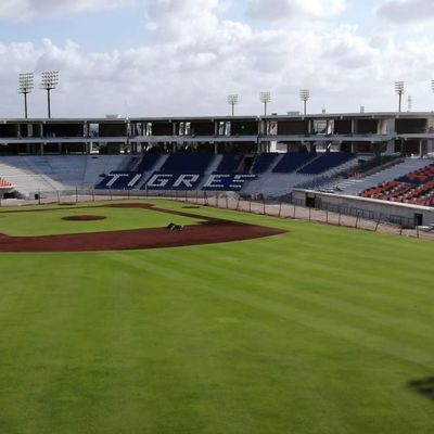 Matériau HDPE sièges de sport de stade 5 ans - W 430 mm * D 600 mm * H 835 mm