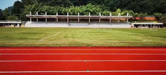 Bon prix Pistes de course de 8 m de large avec peu d'entretien et résistance au décoloration en ligne