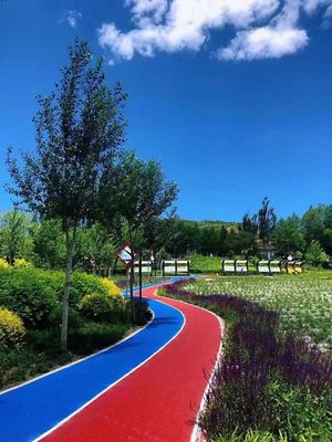 Bon prix Piste de course à pied rectangulaire avec résistance à la décoloration pour les exercices en plein air en ligne