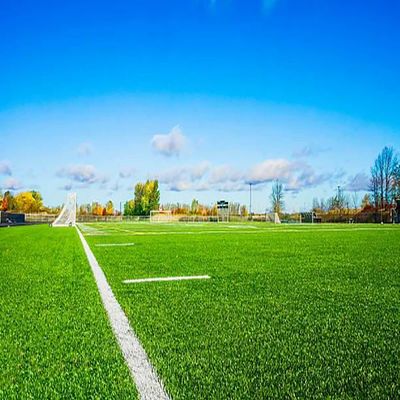 Bon prix Grès artificiel vert de 40 à 60 mm 22000 Densité PP NET en ligne